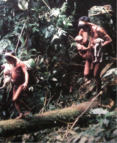 In hunter-gatherer tribes, everyone had to be strong — men, women, and children alike. Here we see walking, balancing, and carrying — all at once. It doesn’t get any more “functional” than this.