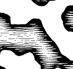 [Maybe it looks like this]