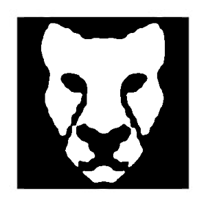 icondisabombwe