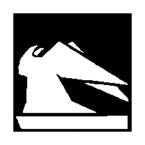 icondisvisceratika