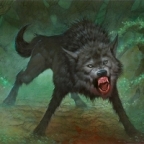 direwolf's Avatar