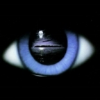 Ersatz Nihilist's Avatar