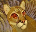 Trochomancy's Avatar