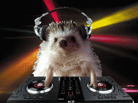 DJHedgehog's Avatar