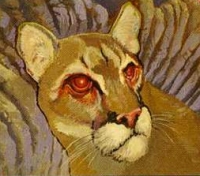 Trochomancy's Avatar