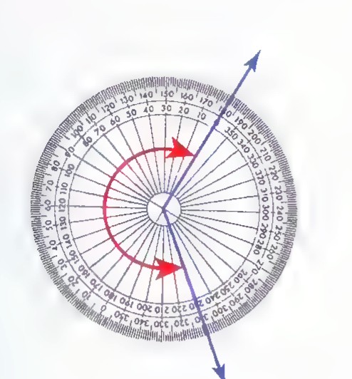 A decorative compass rose with a mirror line and arrows.
