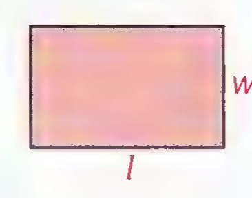Rectangle with length l and width w.