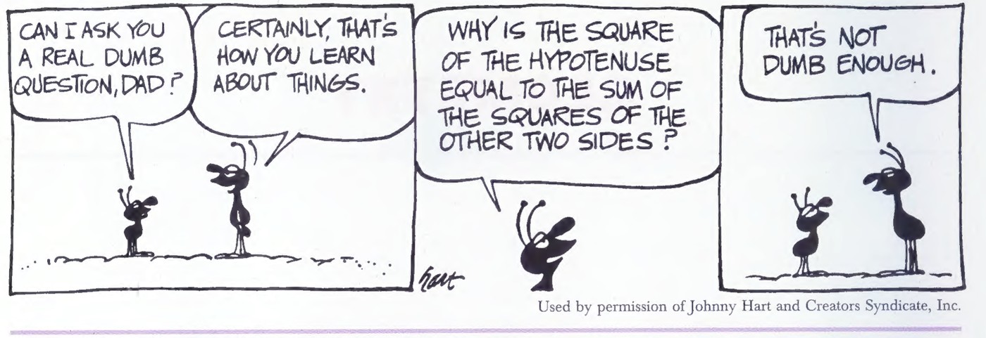 B.C. comic strip by Johnny Hart: a young ant asks his father, “Can I ask you a real dumb question, Dad?” The father answers, “Certainly, that’s how you learn about things.” The young ant asks, “Why is the square of the hypotenuse equal to the sum of the squares of the other two sides?” The father replies, “That’s not dumb enough.”