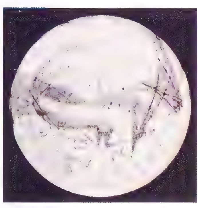 A map of Mars drawn in 1903, showing dark markings on a light globe.