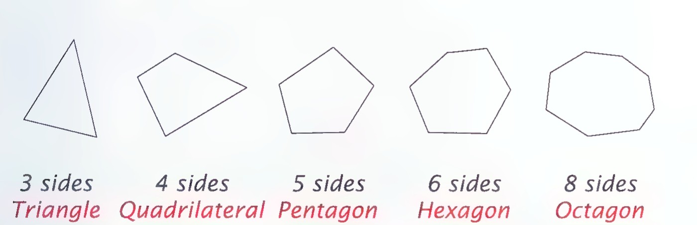 Five polygons labeled by their number of sides: 3 sides, triangle; 4 sides, quadrilateral; 5 sides, pentagon; 6 sides, hexagon; 8 sides, octagon.