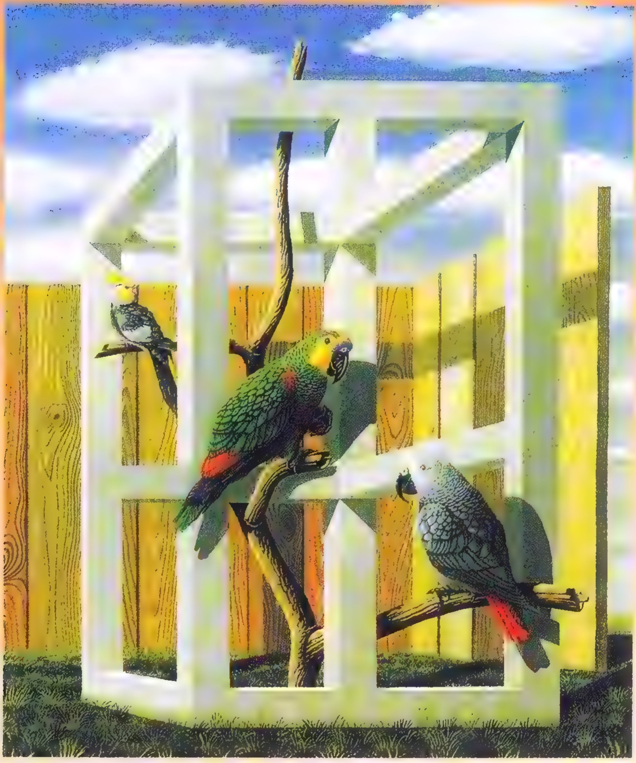 Painting of three parrots perched on branches among white rectangular frames, with a wooden fence, blue sky, and green grass behind them.