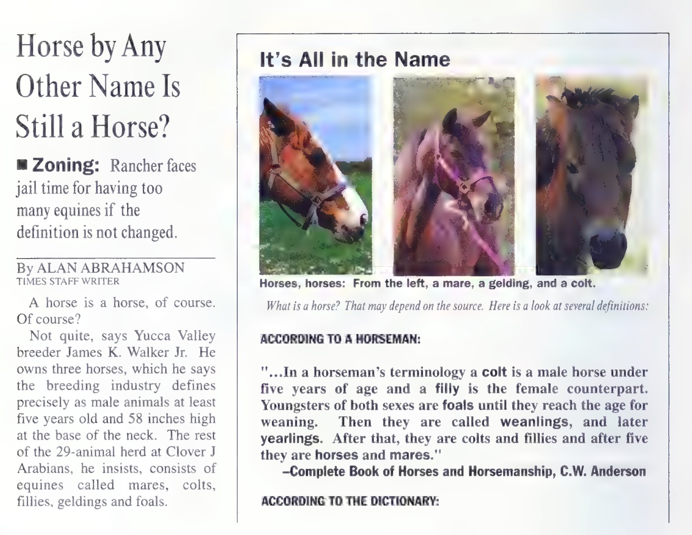 Newspaper clipping headlined “Horse by Any Other Name Is Still a Horse?” with a zoning story about a rancher and his 29 equines, three horse photographs labeled “a mare, a gelding, and a colt,” and quotations defining a horse according to a horseman and according to the dictionary.