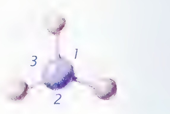 Model of an ammonia molecule with a central nitrogen atom bonded to three hydrogen atoms, with bond angles labeled 1, 2, and 3.