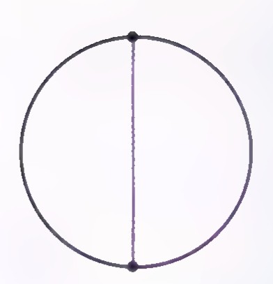 A circle with two points marked at the top and bottom, joined by a vertical diameter.