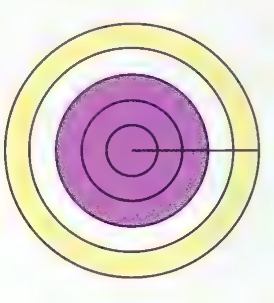 Five concentric circles alternately colored purple and yellow, with a horizontal radius drawn from the center to the outer circle.
