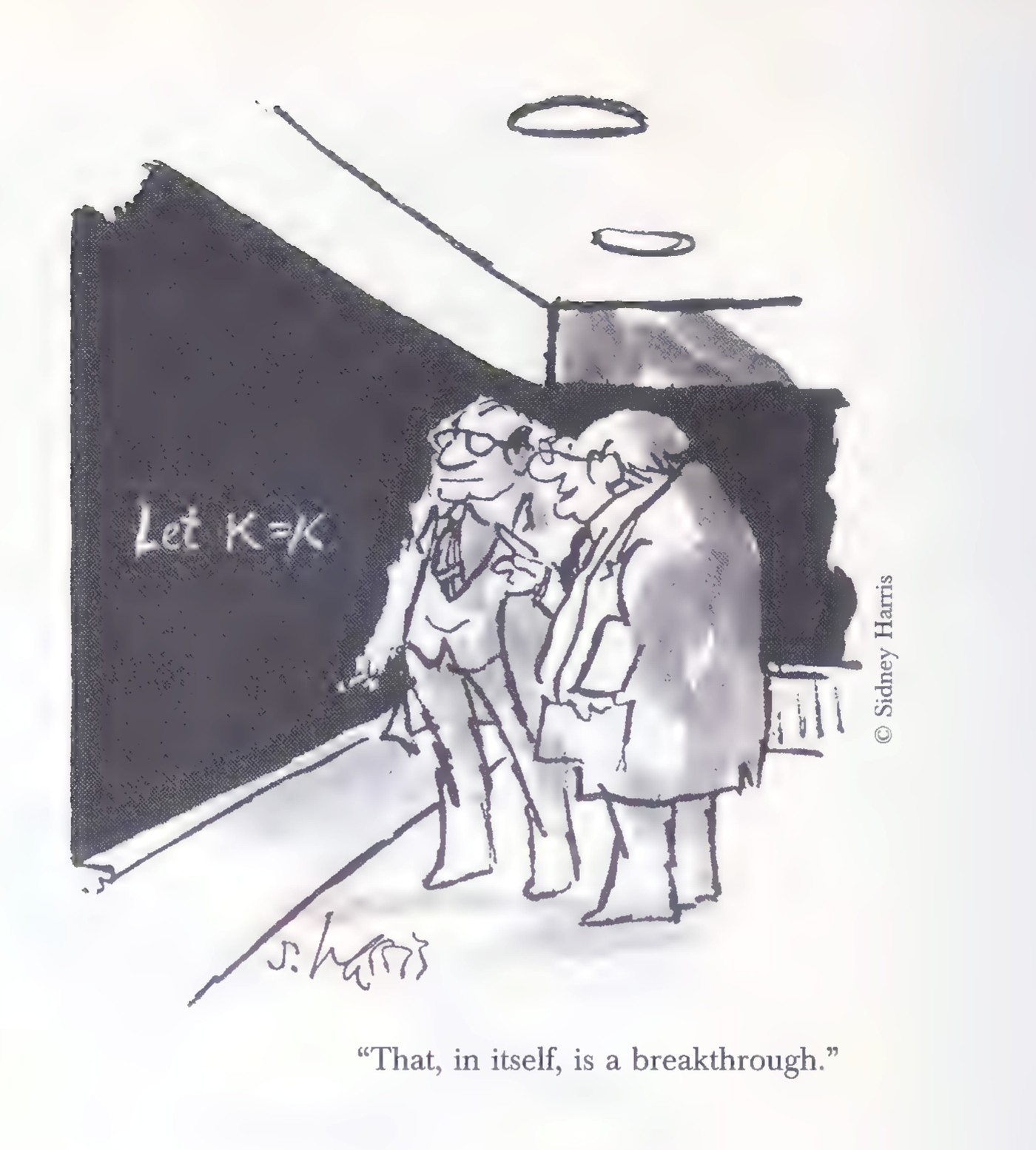 Cartoon: two men in a hallway look at a blackboard on which one has written “Let K = K”; the second man says, “That, in itself, is a breakthrough.”