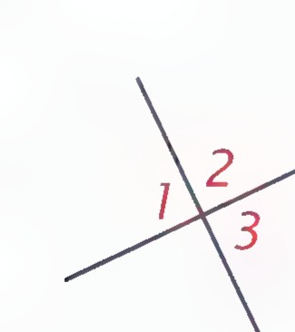 Two intersecting lines forming four angles, with angles 1, 2, and 3 marked.