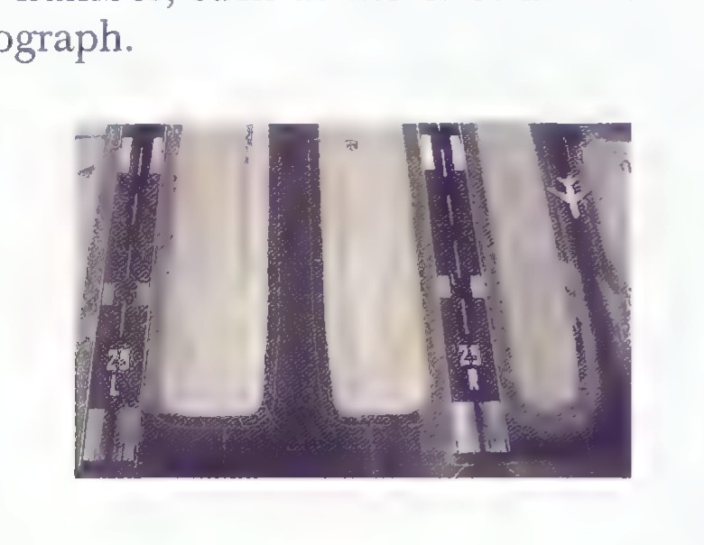A photograph of two parallel airport runways, each marked with the number 25.