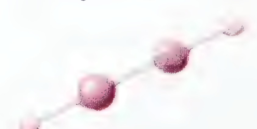 A photograph of a molecular model of acetylene: four atoms in a row joined by bonds.