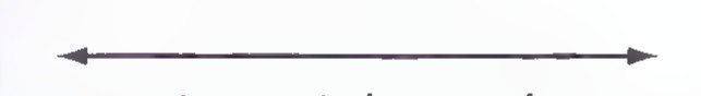 Two opposite rays forming a straight angle.