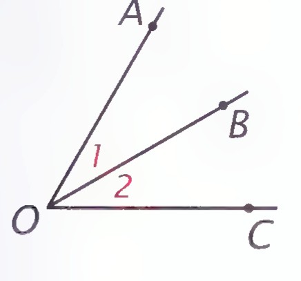 Rays OA, OB, and OC with the common endpoint O, angles 1 and 2 marked between OA and OB and between OB and OC.