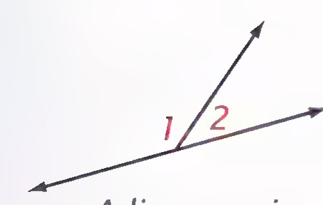 Two angles sharing a common side and with opposite rays as their other sides, numbered 1 and 2.