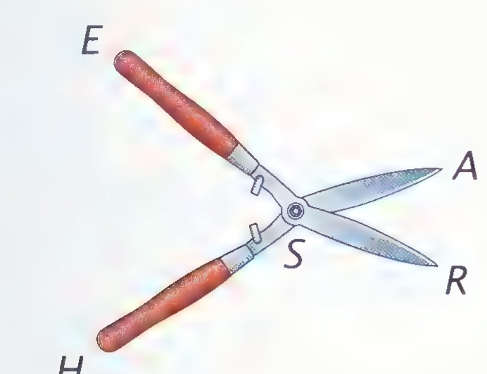 A pair of hedge shears with handles H and E and blades R and A, joined at a pivot S.