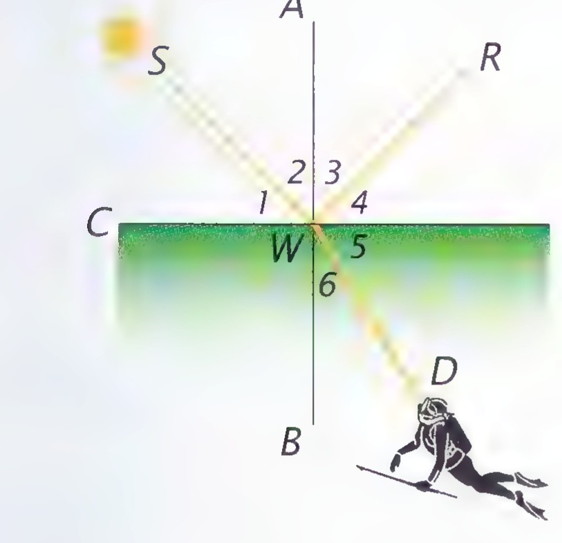 A light ray from S meeting the water surface CE at W: part reflects along WR, part refracts to D, with angles 1 through 6 marked around W.
