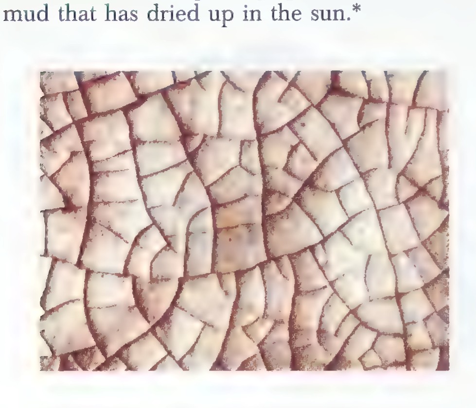 A photograph of dried mud, its surface broken into irregular polygonal plates by cracks.