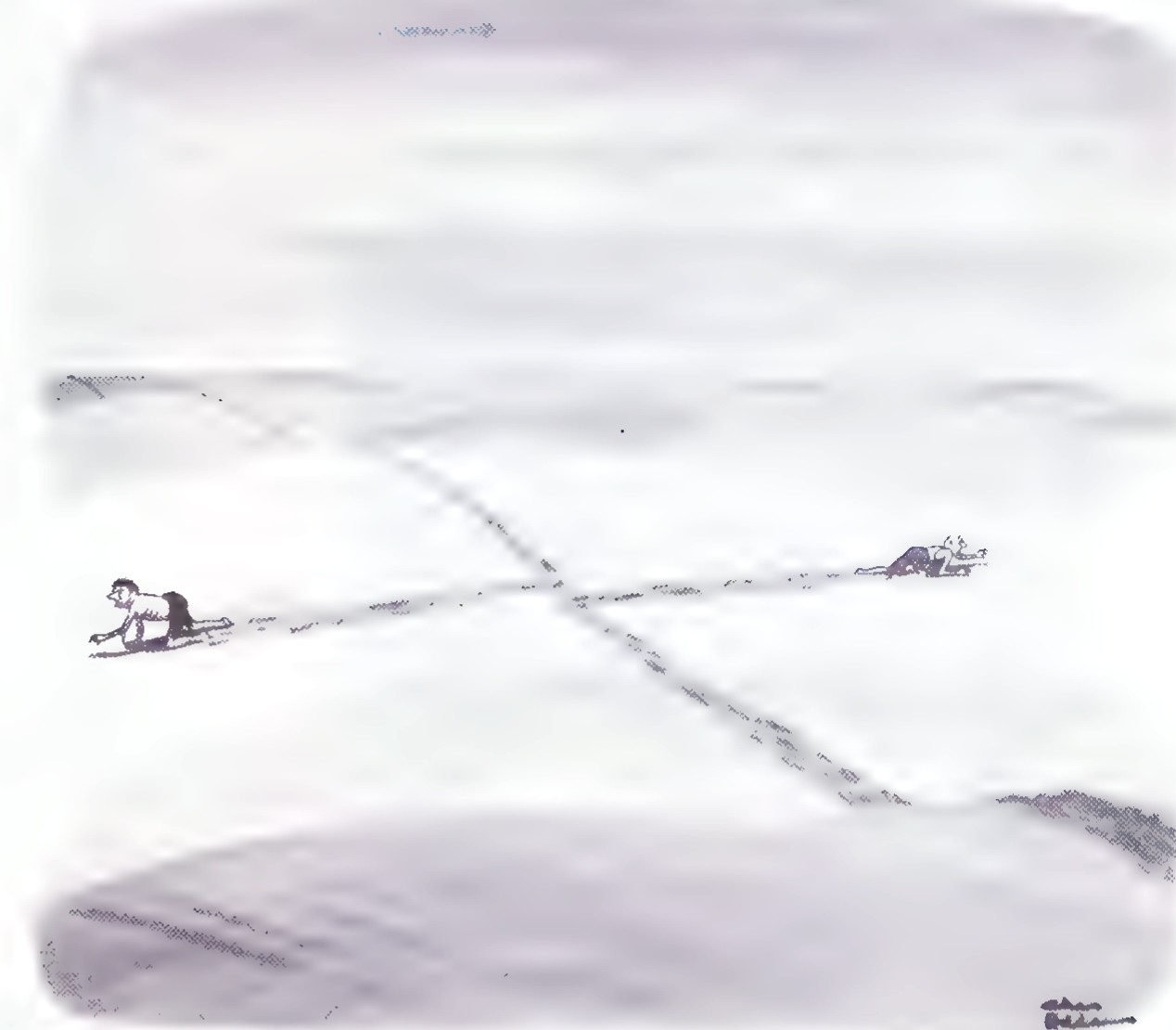 A New Yorker cartoon: two tiny figures crawl across a vast, empty desert, leaving long trails behind them.