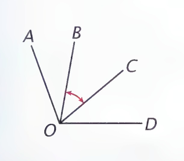 Rays OA, OB, OC, and OD from O, with an arc marking the angle between OB and OC.