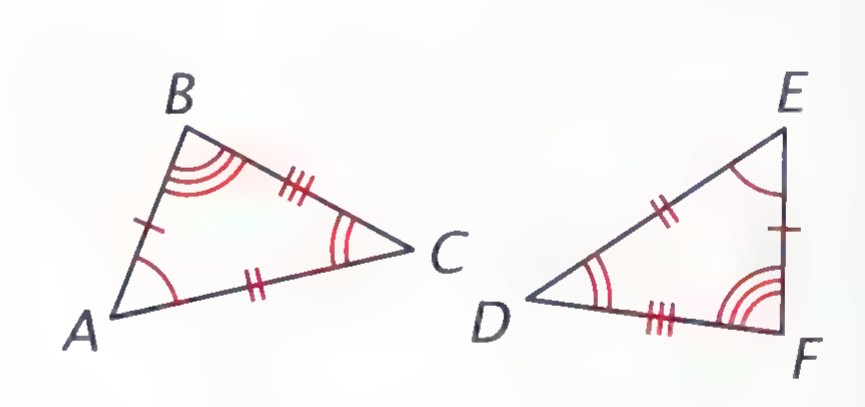 Two triangles, ABC and DEF, with matching tick marks and arcs showing their equal sides and angles.