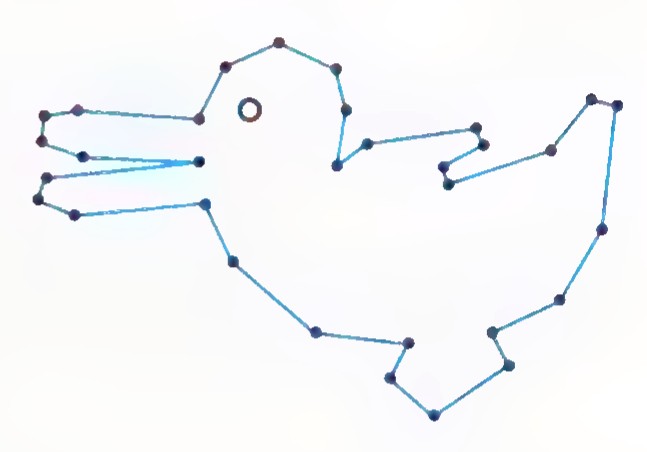 A tracing of the duck polygon, drawn with blue line segments.