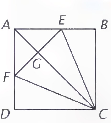 A square ABCD with fold lines to C and points E, F, and G marked.