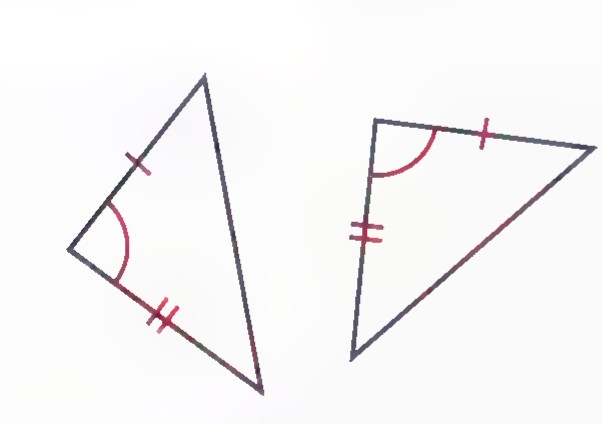 Two triangles with equal sides and included angles marked by ticks and arcs.