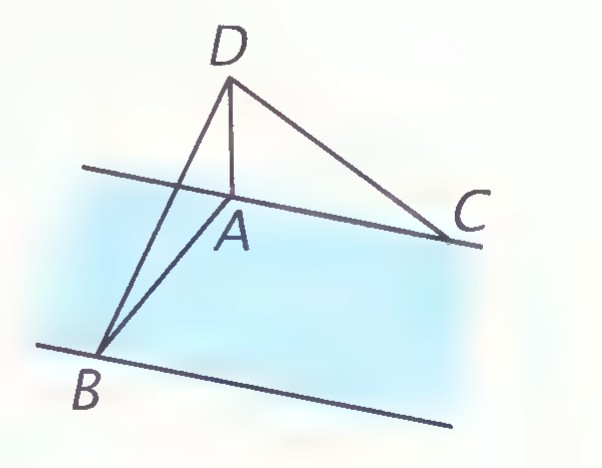 A drawing of a river with Alice at A on one bank and points B, C, and D marking her sightlines.
