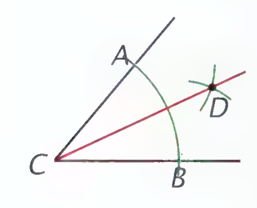 Angle C bisected by ray CD, with points A and B on the sides and segments AD and BD drawn.