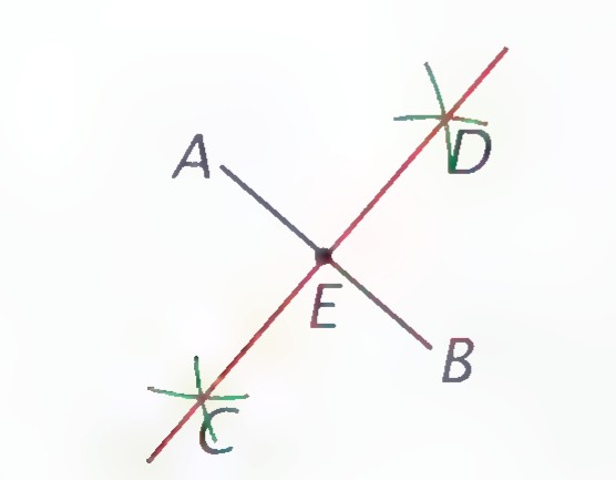 Segment AB with its perpendicular bisector and two arcs meeting at C and D, and segments AD, BD, AC, and BC drawn.