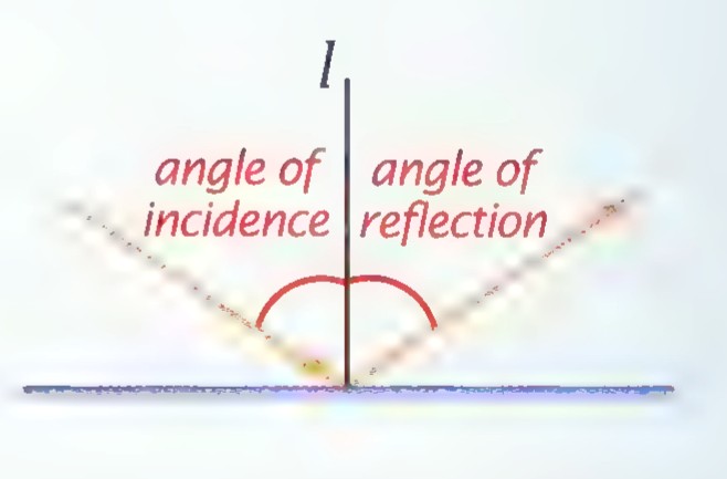 A mirror with a perpendicular line l and a reflected ray, showing the angle of incidence equal to the angle of reflection.