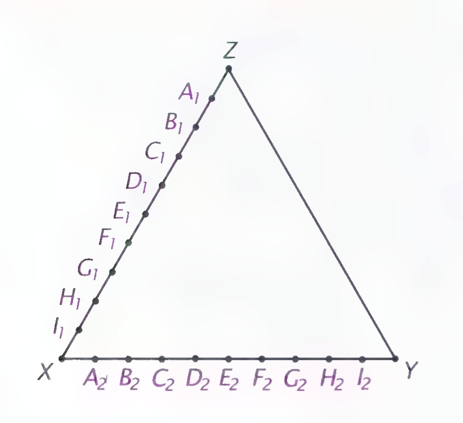 Equilateral triangle XYZ with its base XY and side XZ divided into equal half-inch segments labeled A, B, C and so on.