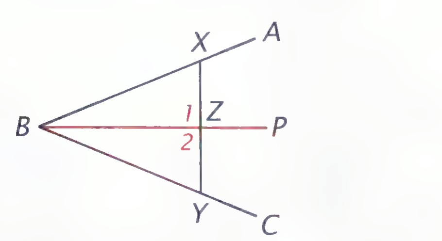 Angle ABC with BP as its bisector and the line XY crossing BP at right angles at Z.