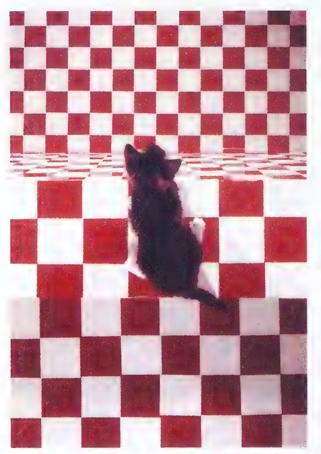 Photograph of a kitten standing on the glass walkway of a visual cliff, with a checkered floor beneath the glass on the near side.