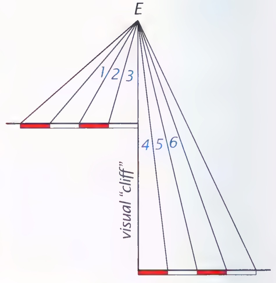 Diagram of the visual cliff: an eye at E looks along rays at a row of equal squares on the near side and at smaller squares beyond the drop labeled “visual cliff,” with angles numbered 1 to 6.