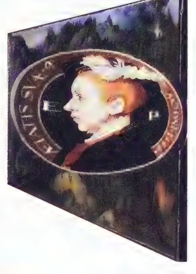 The anamorphic portrait of Edward VI seen from the correct oblique viewpoint, so that it looks normal; the frame is severely distorted.