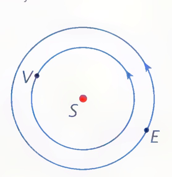 Two concentric circular orbits about the sun S, with Venus at V on the inner orbit and Earth at E on the outer orbit, arrows showing their motion.
