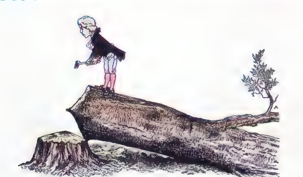 Engraving of a boy standing on a fallen tree trunk in a clearing, with a hatchet at his side and a small tree at the right.