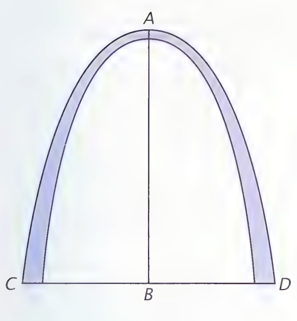 Scale drawing of the Gateway Arch as a tall, narrow curve springing from C and D, with A at the top, B at the midpoint of the base, and AB drawn.