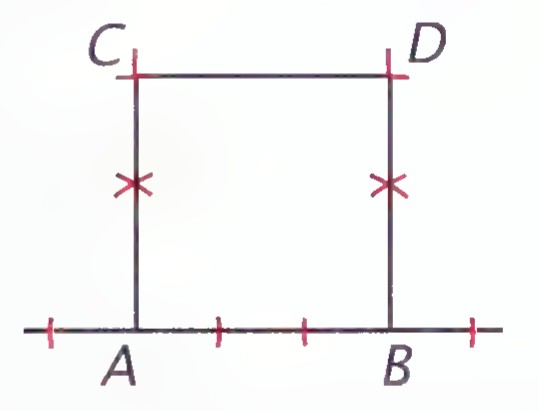 Segment AB on a horizontal line, with perpendiculars raised at A and B and points C and D marked on them.