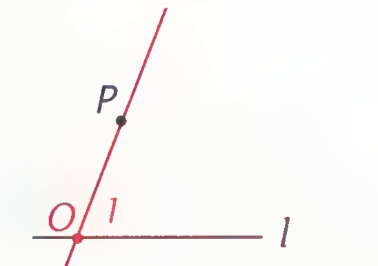 Line PO drawn, with angle 1 marked at O between PO and l.