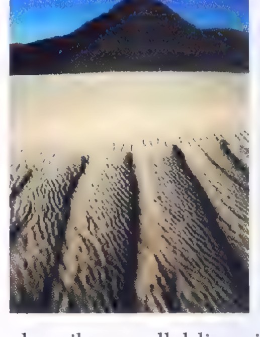 Aerial photograph of a dune field: long parallel ridges of sand running toward the horizon beneath a dark mountain and blue sky.